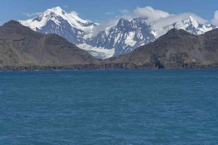 Islas Georgias del Sur 073.jpg